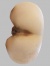 Xass 320 x 240 2